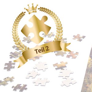 Höchstleistungen, die beeindrucken: Puzzle-Weltrekorde – Teil 2