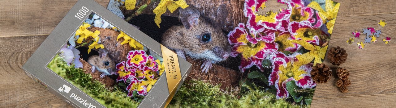 Puzzles der Mausfotografin Jennifer Hetzel