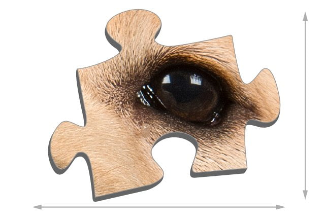 Die Puzzleteile des Fotopuzzle 1000 Teile sind ca. 1,9 x 1,6 cm groß.