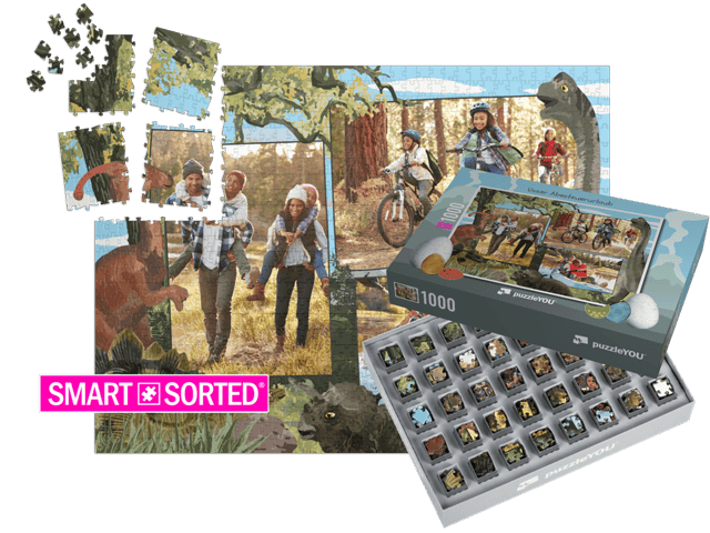 SMART SORTED Layout Dino