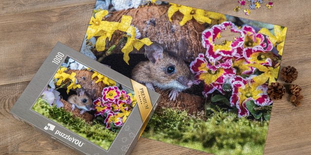 Puzzles der Mausfotografin Jennifer Hetzel