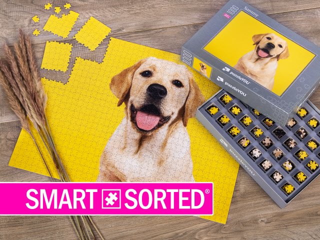 SMART SORTED Puzzle gestalten