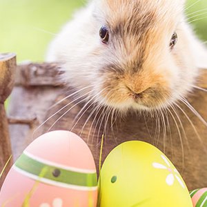 Fototipps zum Osterfest